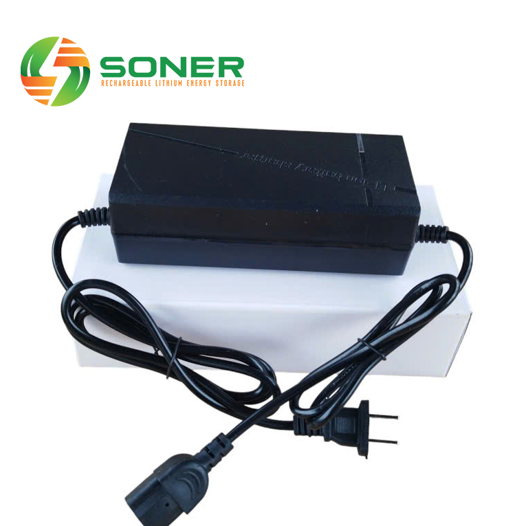 May sạc Pin Xe dien 48V