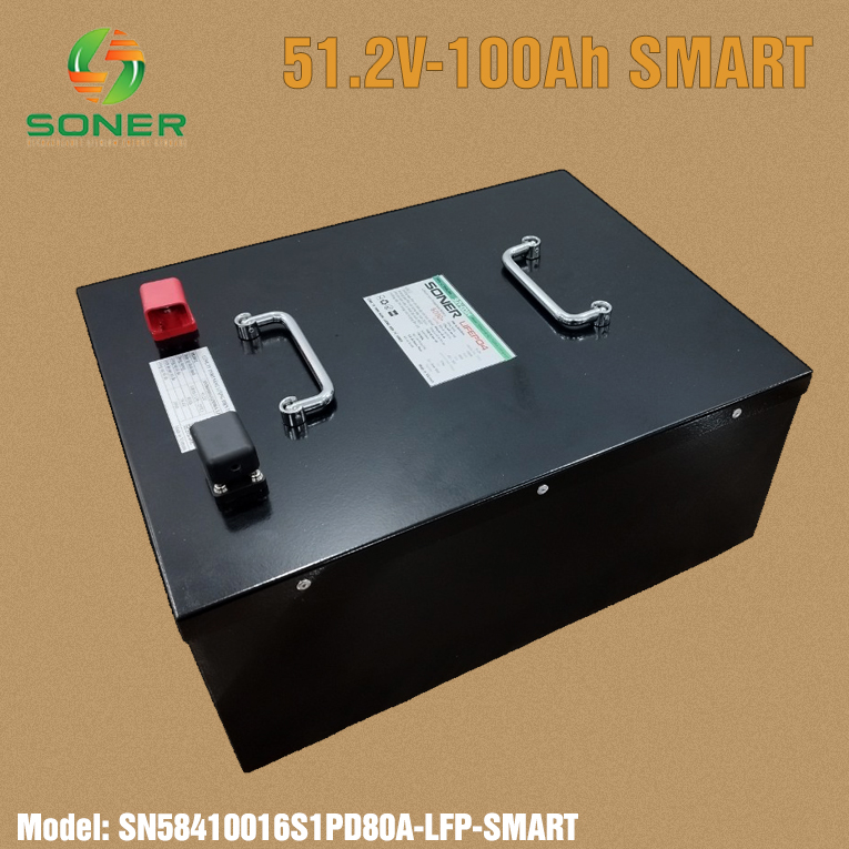 Pin lithium Soner 51.2V 100Ah LFP
